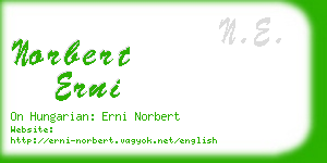 norbert erni business card